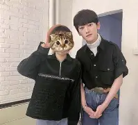 JackeyLove遭遇十五连败，TL教练面临压力！